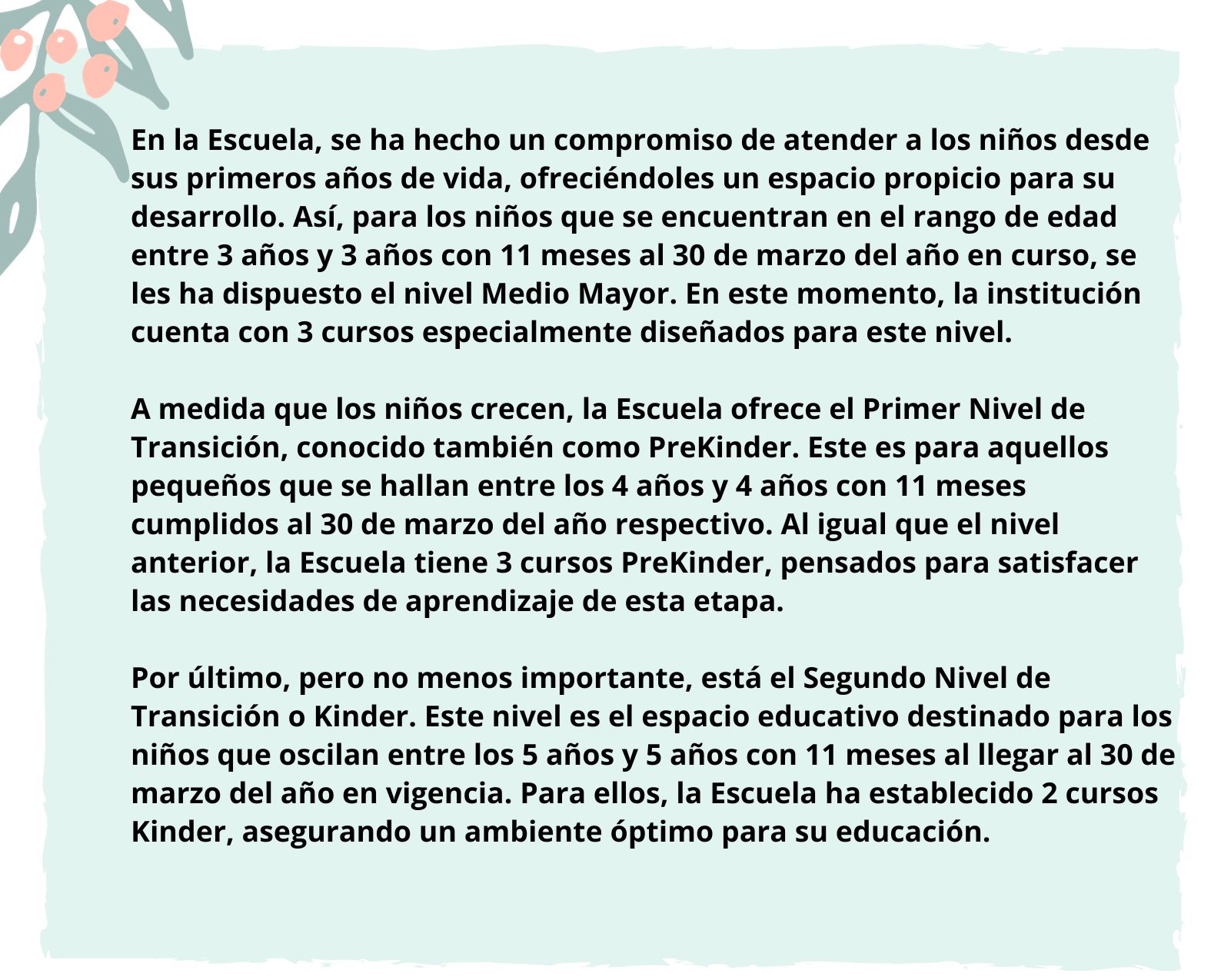 organizacion3.jpg