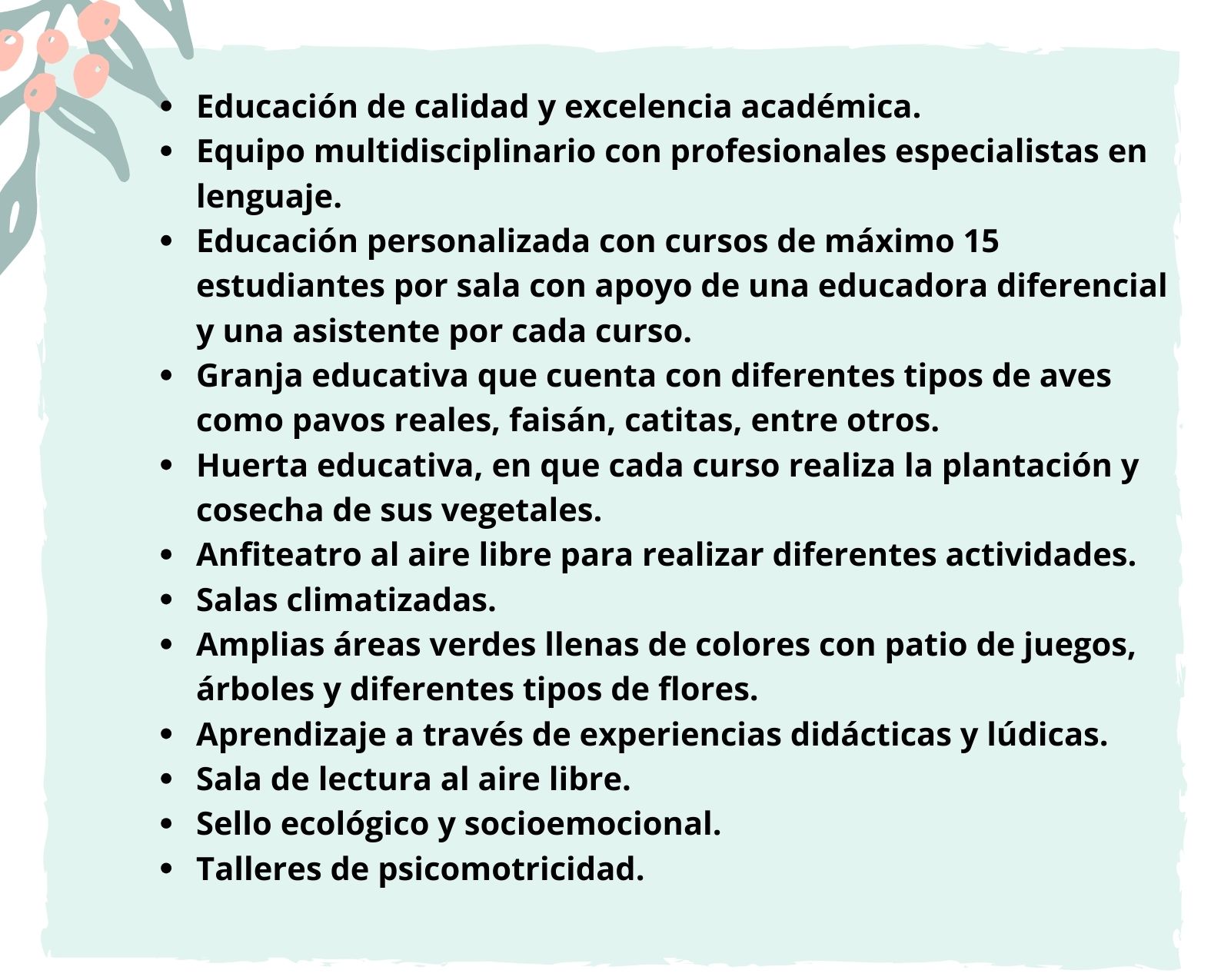organizacion4.jpg